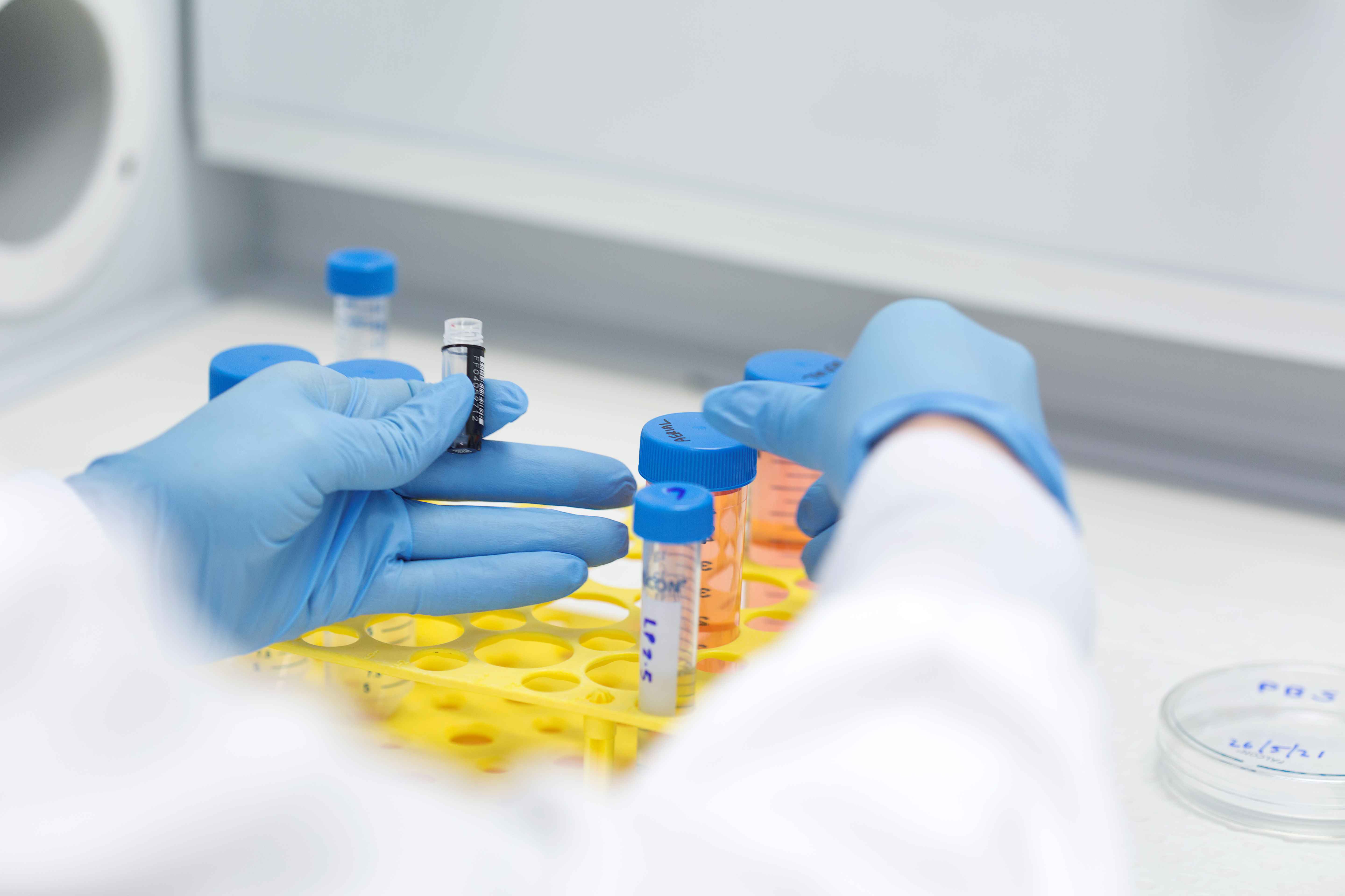 Researcher with blue gloves holding test tubes 